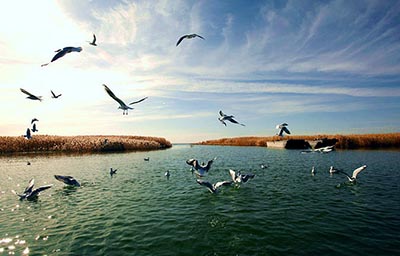 Juyan Lake