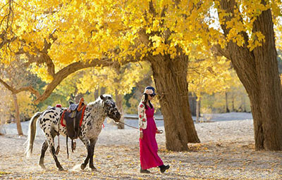 Euphrates Poplar Forest