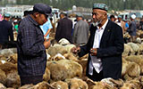 Kashgar Animal Bazaar  