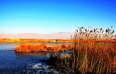 Zhangye National Wetland Park