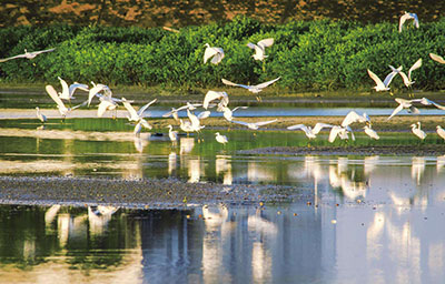 Zhangye National Wetland Park